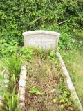 image of grave number 419822